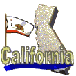 State w/Flag