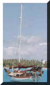 boatstern.jpg (11066 bytes)
