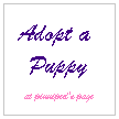 Adopt a puppy
