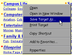 Browser Screen Shot: Downloading