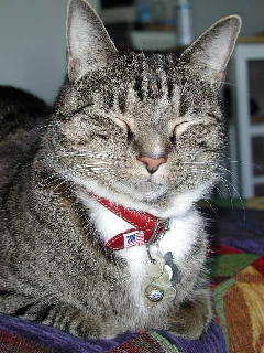 Loulie