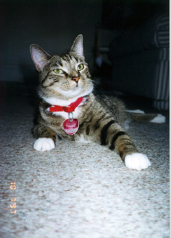 LoulieRed