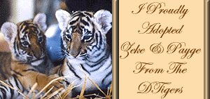 My tigers Zeke and Payge