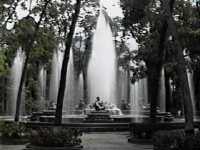 Parques