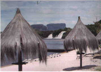 canaima.jpg (11892 bytes)