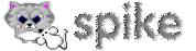 spike.jpg (3102 bytes)