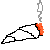 roach
