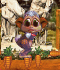 Joko