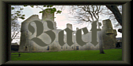 Castle Back Button