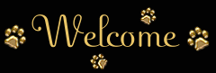 Welcome Paws