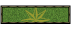 exphbusa.gif (3629 bytes)