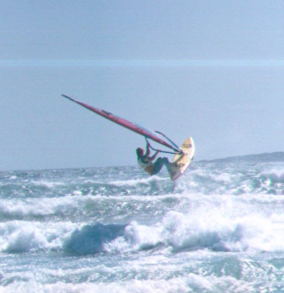windsurfer