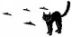 cat.jpg