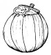 colorpumpkin.jpg