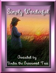 Simply Wonderful Award
