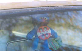 grover.jpg (18104 bytes)