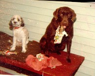 Missy and CT