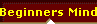 Beginners Mind