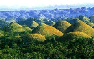 thbohol