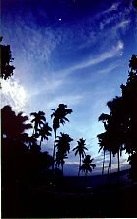 thskyscene