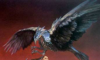 raven.