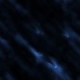 bluesquid.jpg