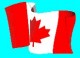 wavyflag.jpg