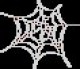 webwht.jpg