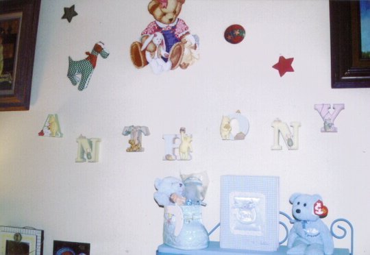 My Brag Book, 2003 - A Photo Album of My Grandson, Anthony!