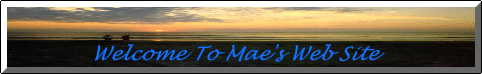 websitebanner_101036100.gif