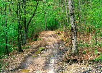 Road To Special Place