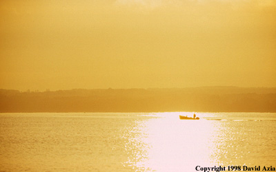 nicesun1.jpg (27222 bytes)