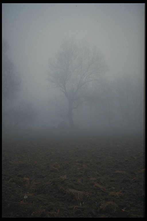 img099.jpg
