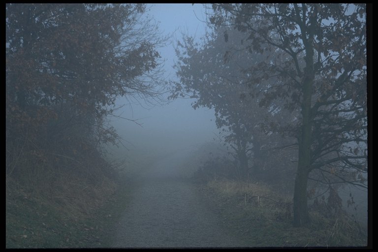 img100.jpg