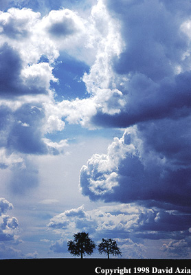 nice.JPG (47945 bytes)