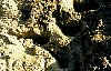 f01b34t.jpg
