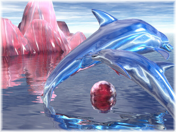 /user/dolphins.jpg