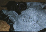 abby