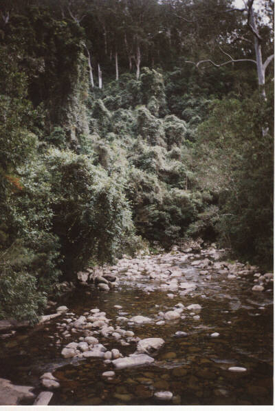 The start of the Gloucestor River