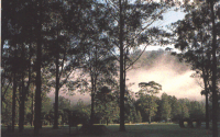 Crosslands Reserve