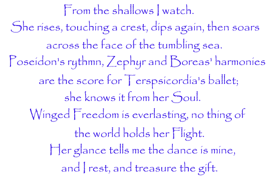 Ocean Dancers' Poem