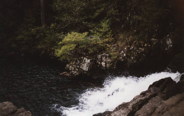A waterfall leading into a waterhole