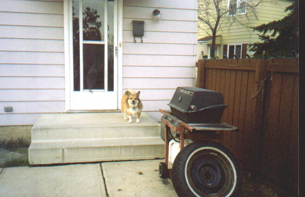 My Dog Buster and the BBQ