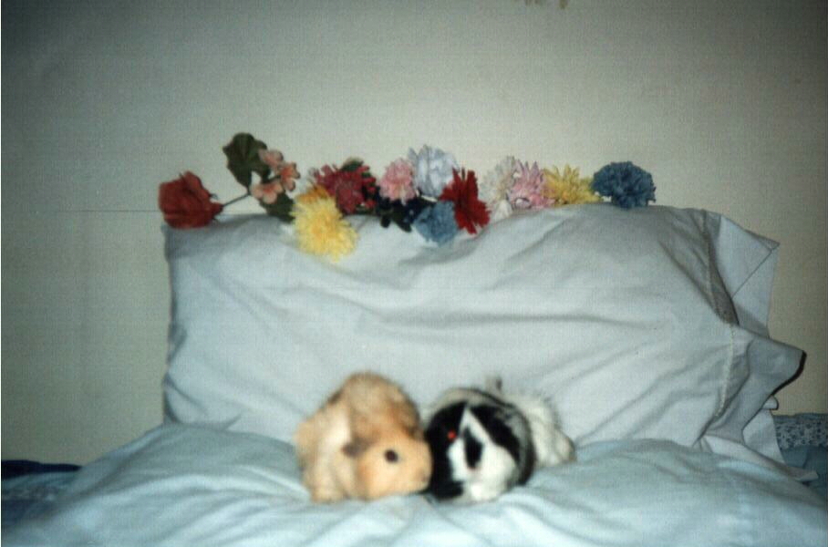 my 2 angels