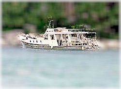 Zoom-in on the dive vessel