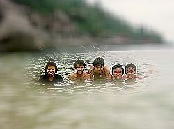 The participants