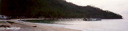 PP-jetty.jpg (6414 bytes)