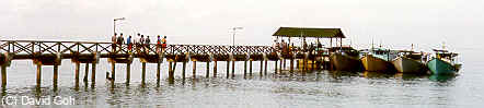 PP-jetty2.jpg (8733 bytes)
