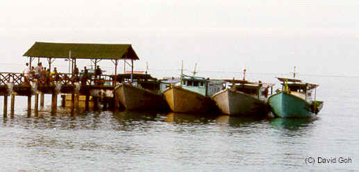 PP-jetty3.jpg (16240 bytes)