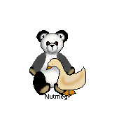 Panda and Duck